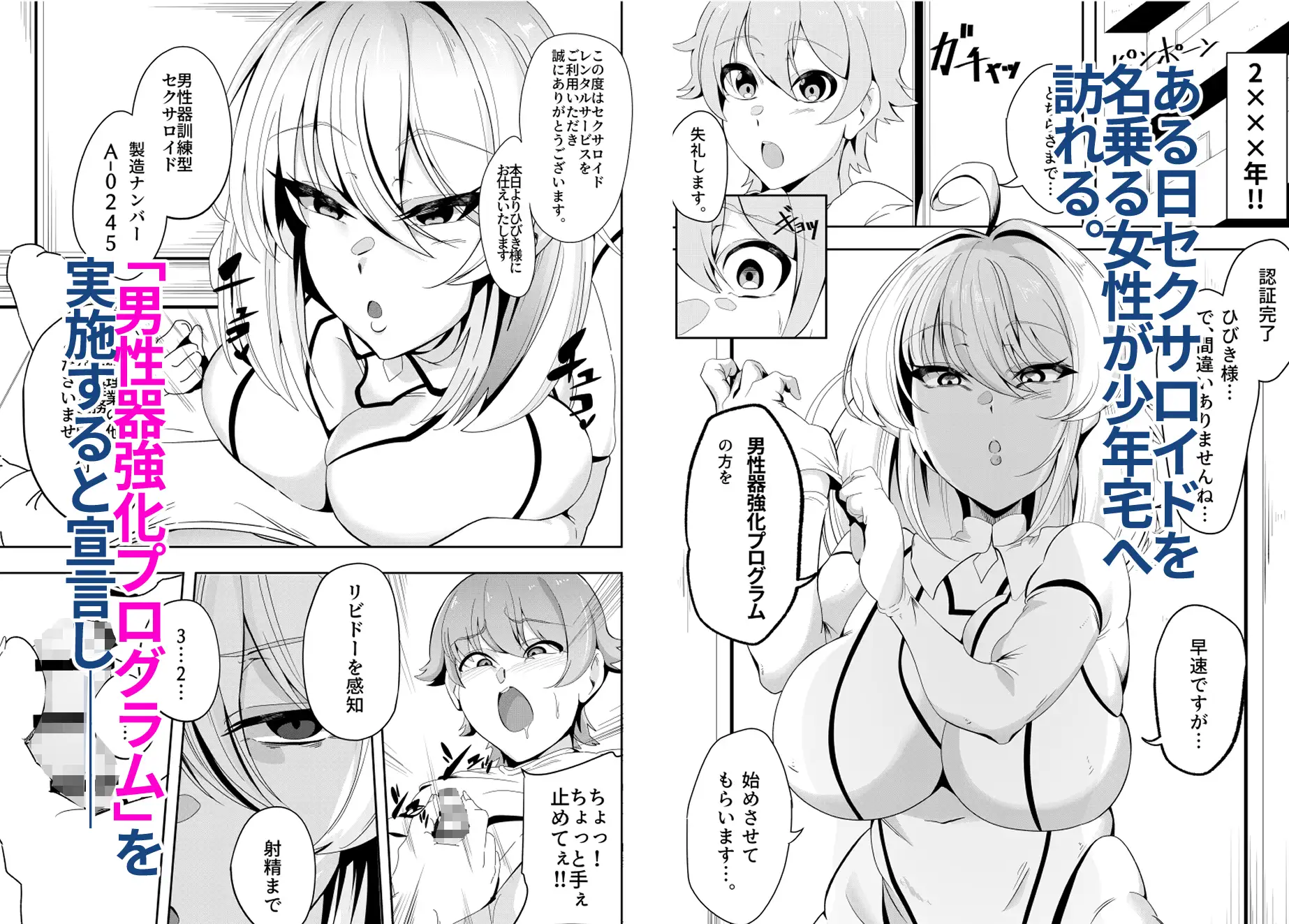 おしかけセクサロイドは冷酷無比