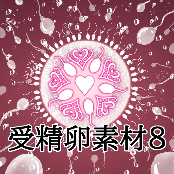 受精卵素材8