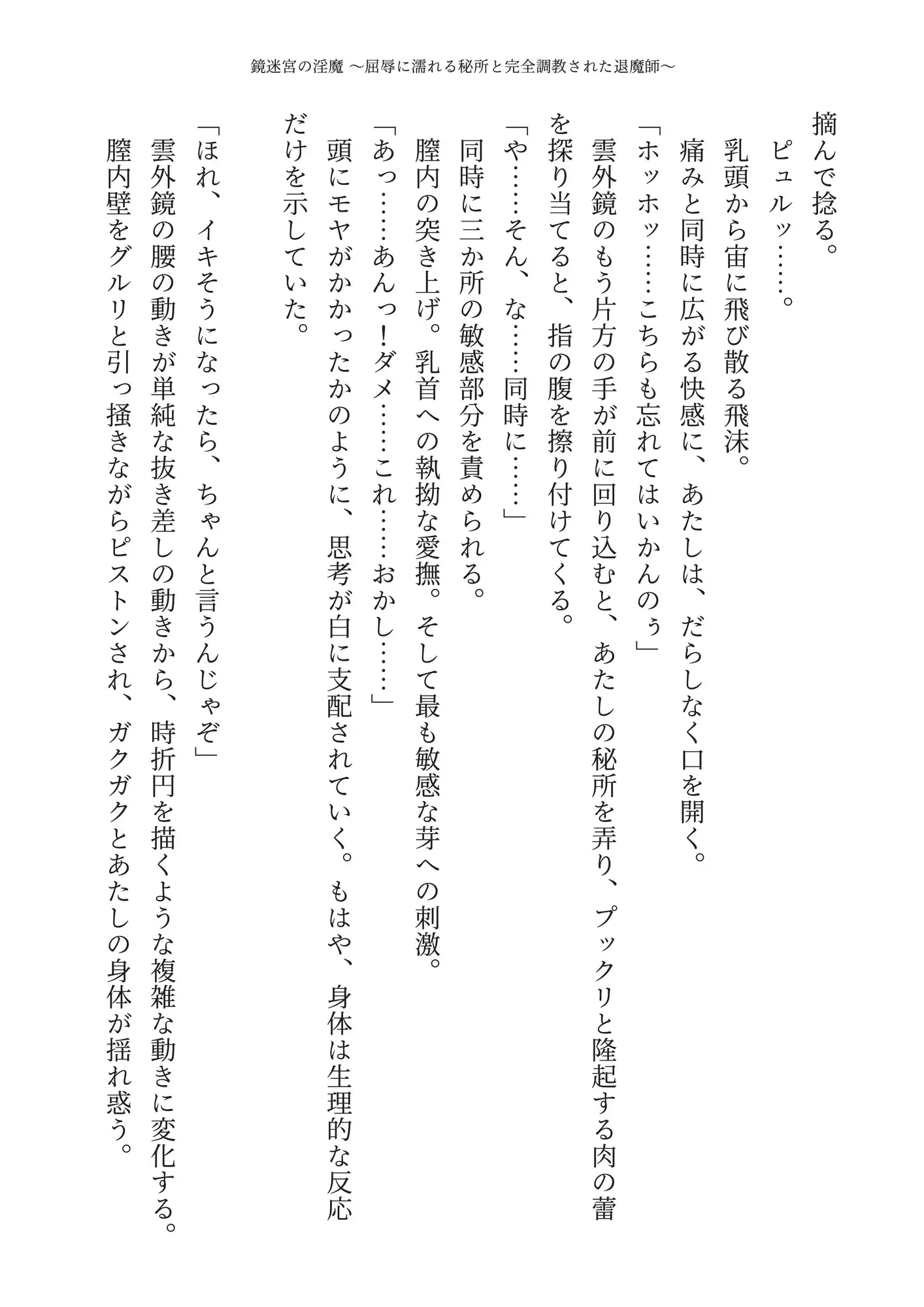 鏡迷宮の淫魔 〜屈辱に濡れる秘所と完全調教された退魔師〜