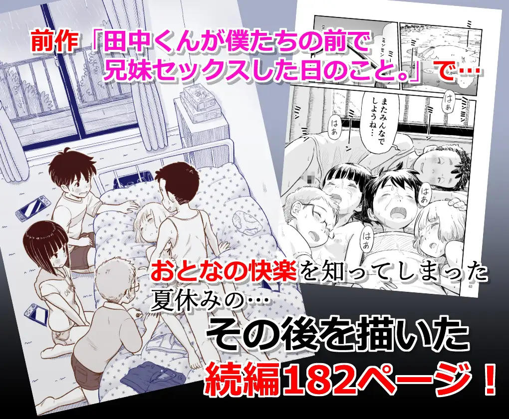 僕たちが田中くんちでセックスを知ってしまったその後のこと。