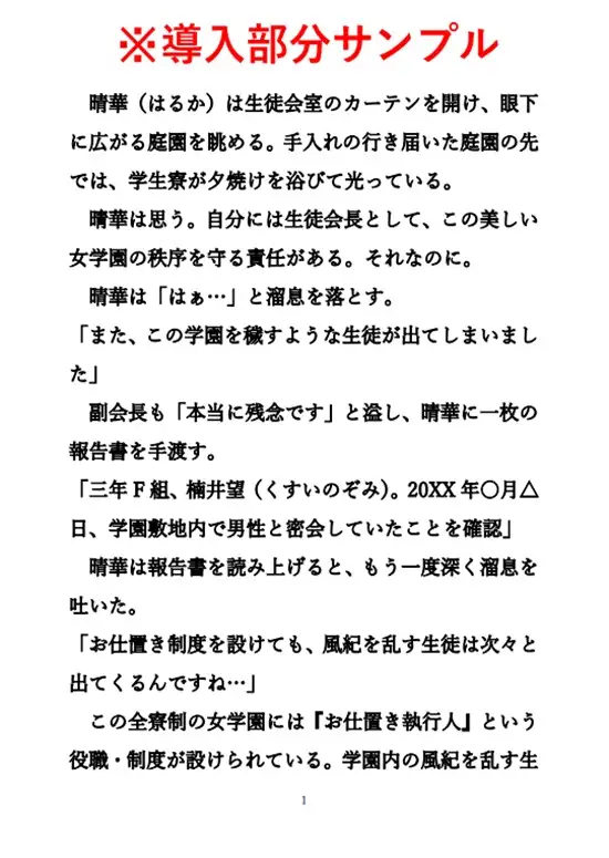 『お仕置き執行人マリノ』2 ~寸止め地獄のお仕置き~