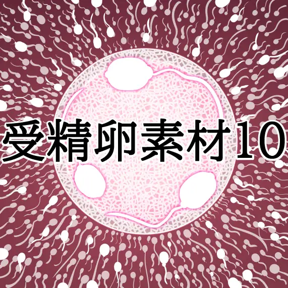 受精卵素材10