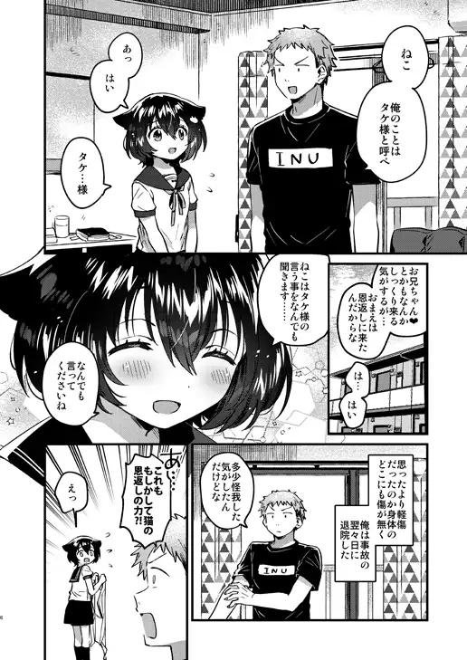 恩返し交尾に来たねこです