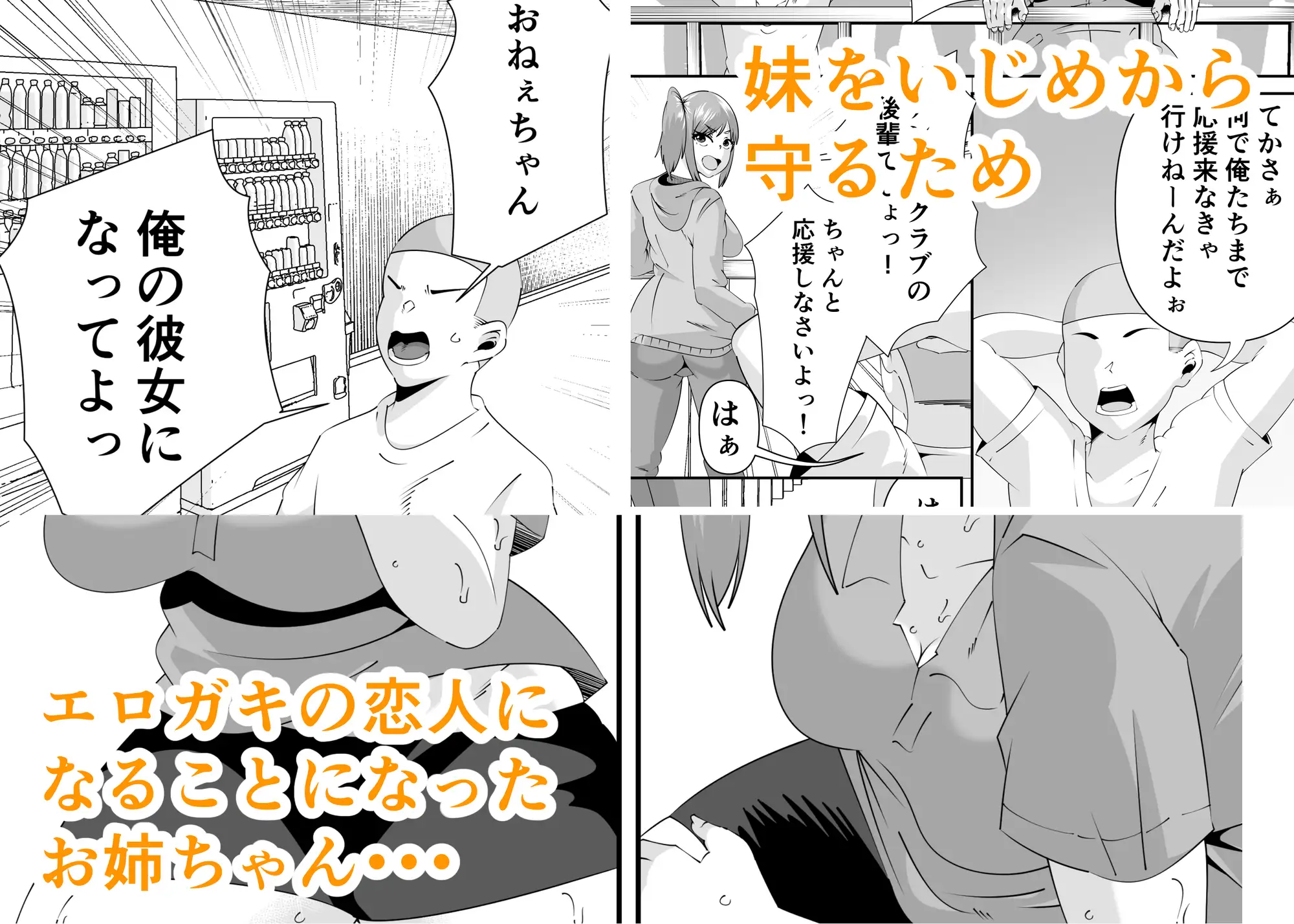 エロガキに壊されたお姉ちゃん