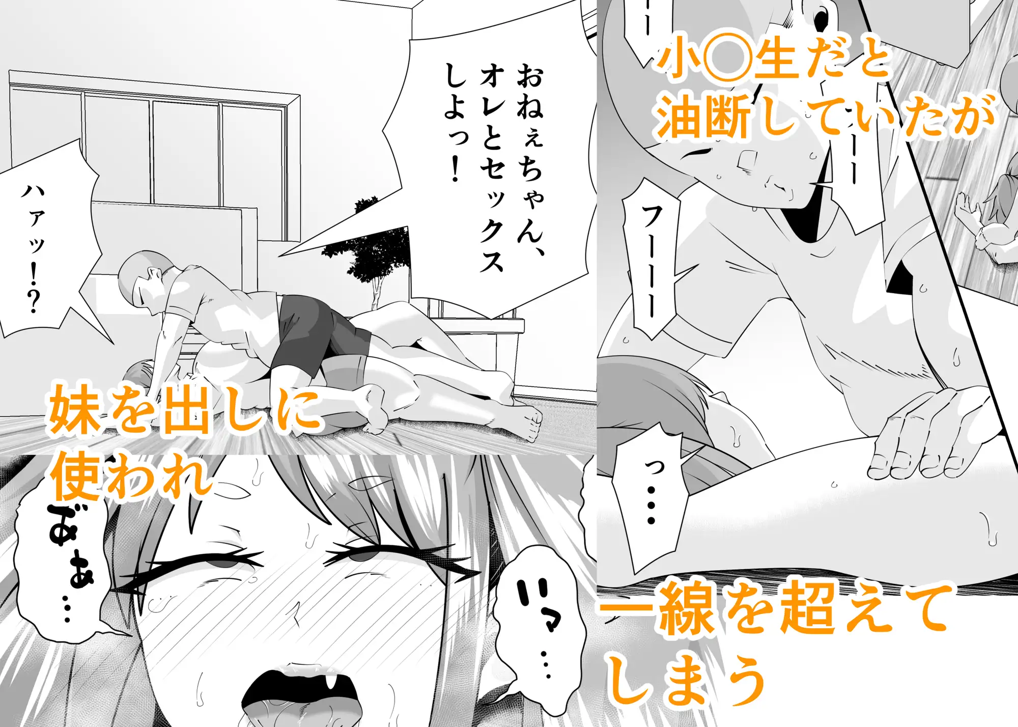 エロガキに壊されたお姉ちゃん
