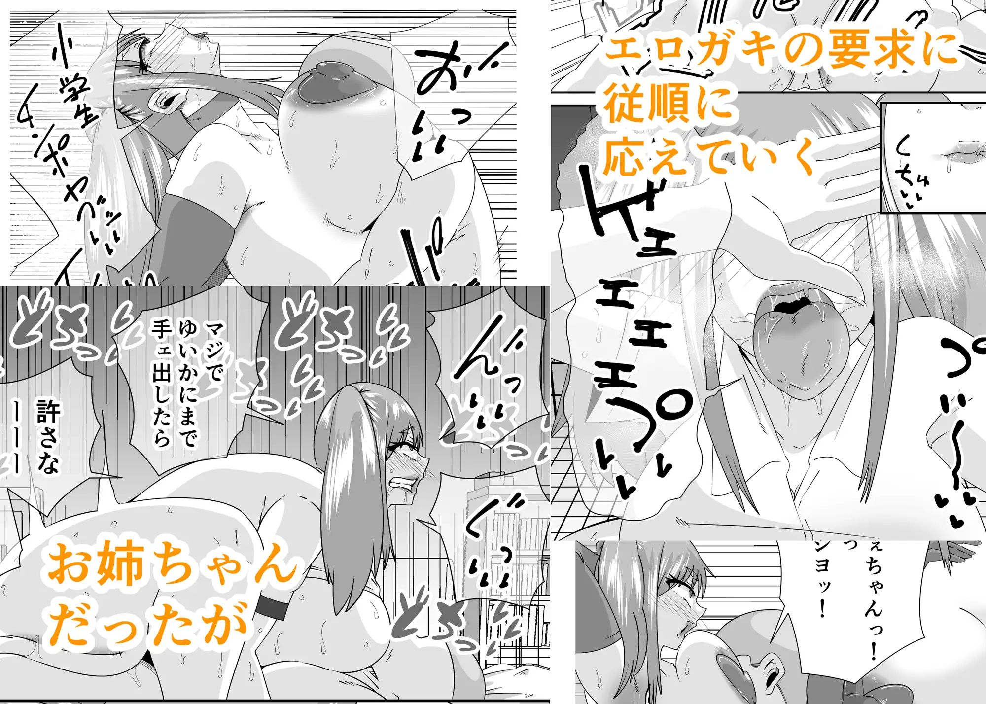 エロガキに壊されたお姉ちゃん