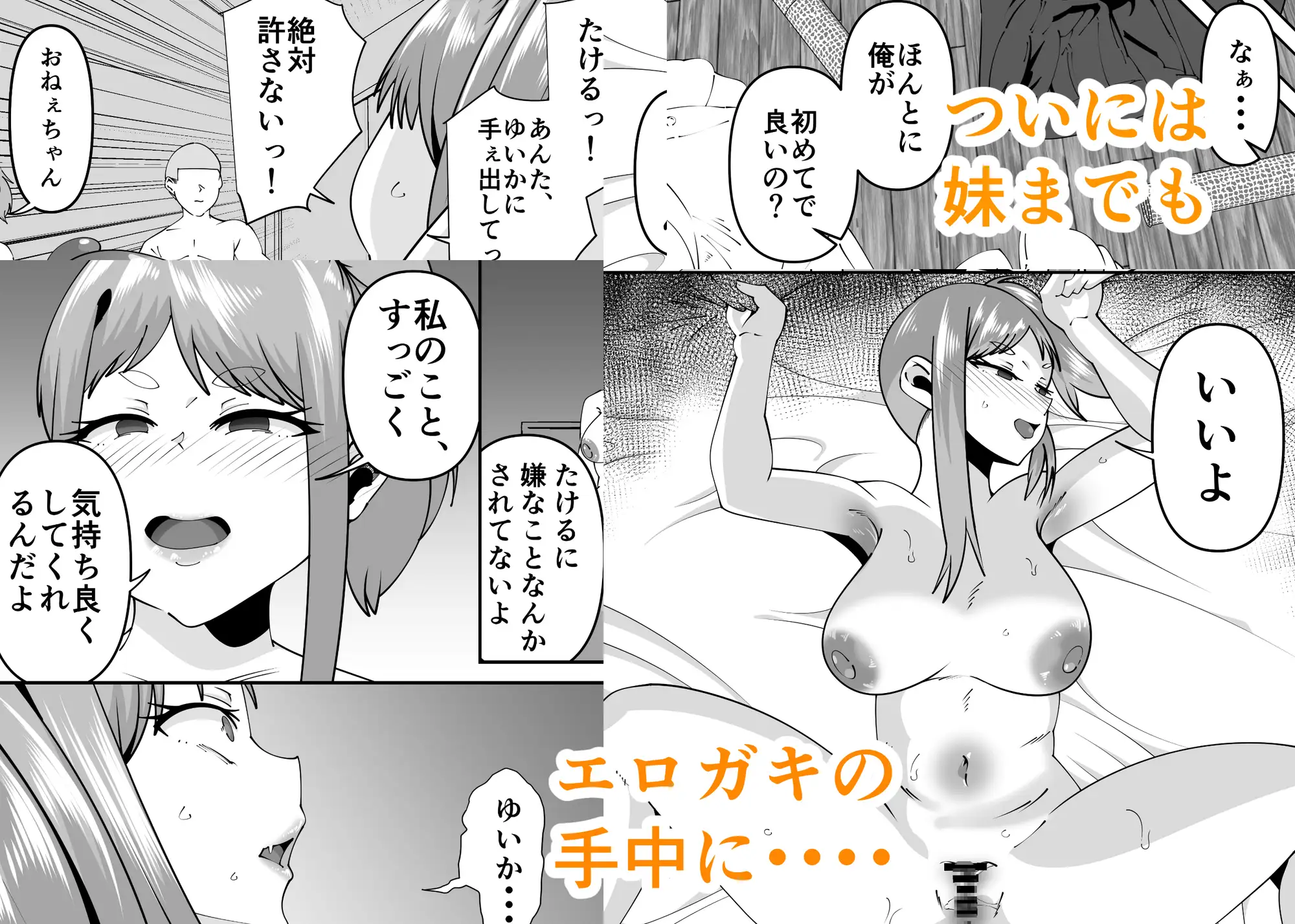エロガキに壊されたお姉ちゃん