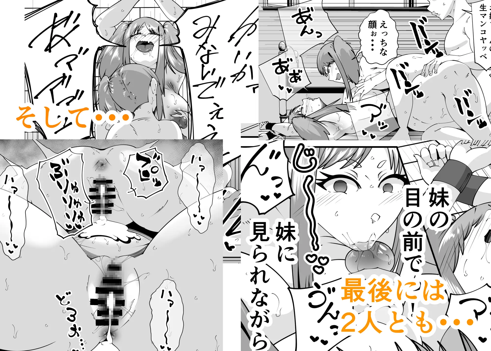 エロガキに壊されたお姉ちゃん