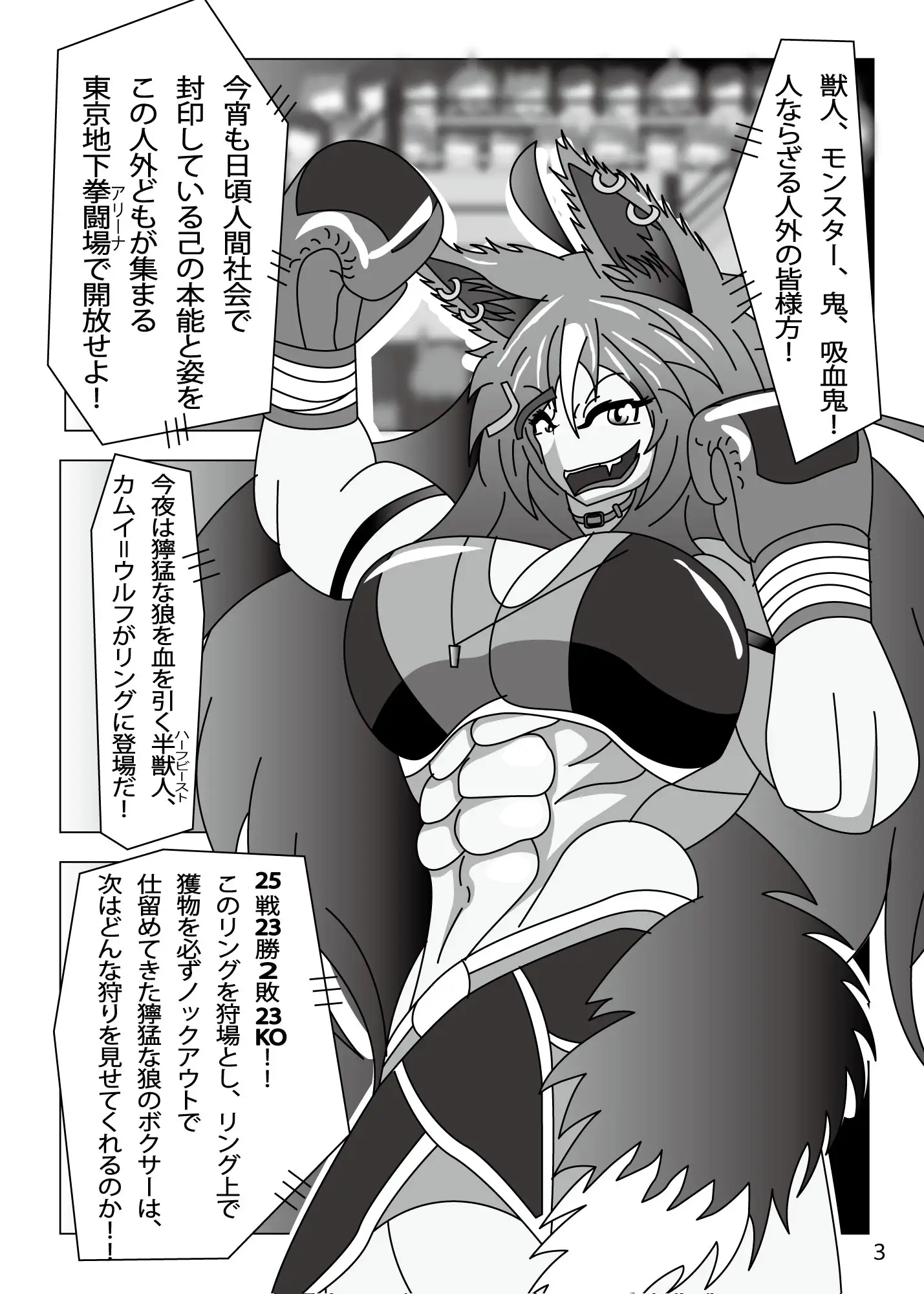 ビーストボクサーカムイ 邪鬼討伐編