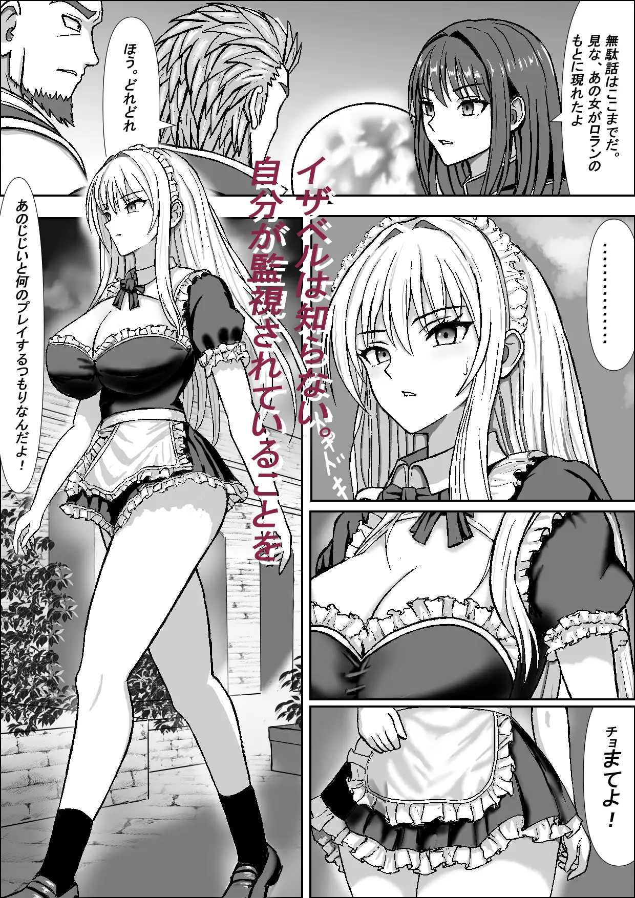 高貴な女騎士イザベルの暴かれる夜