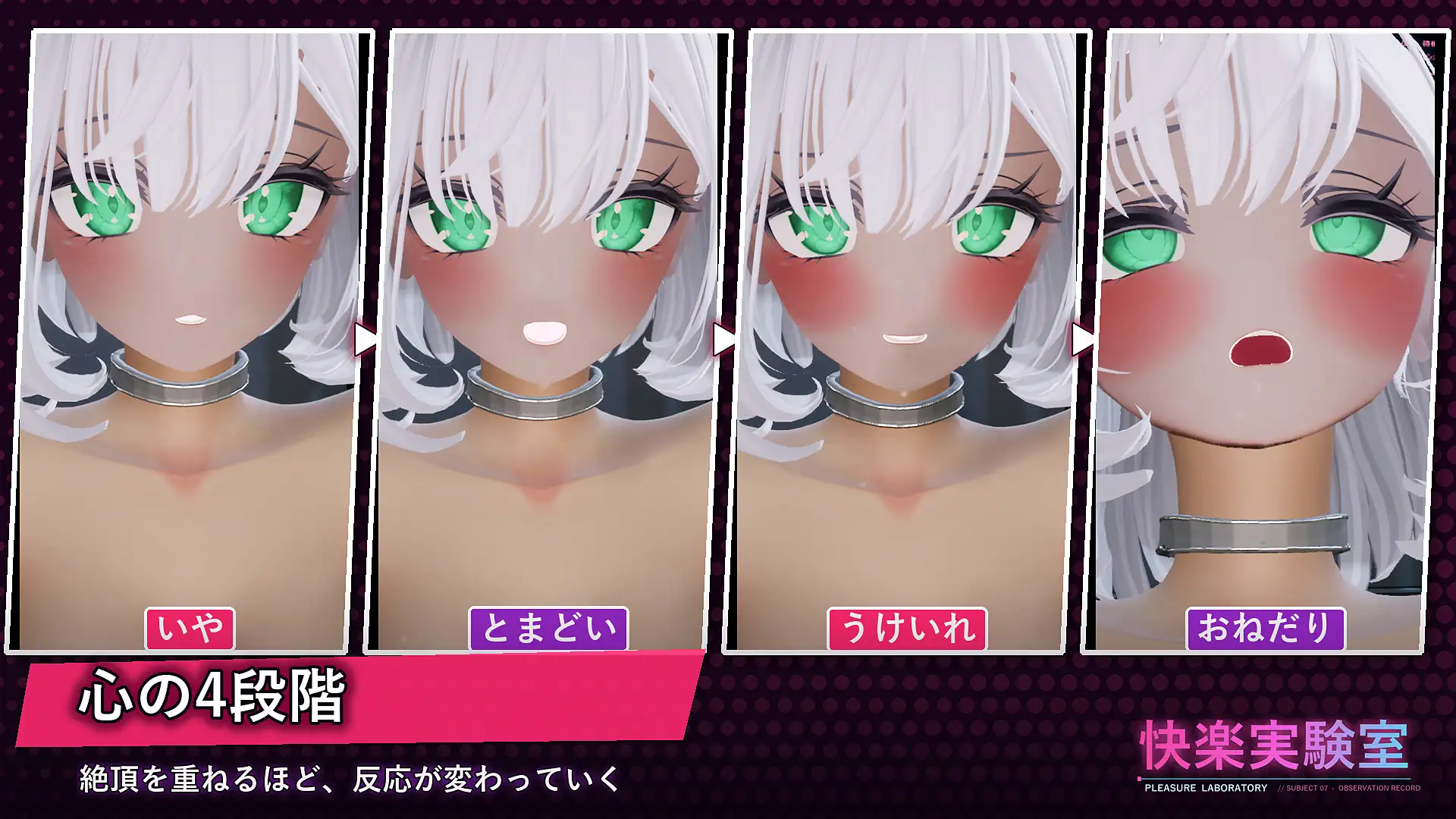 快楽実験室