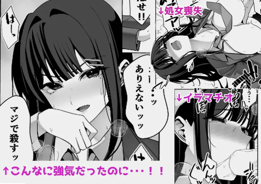 オナペットだった女子校生に脅迫されたので脅迫し返して泣くまで犯してやった