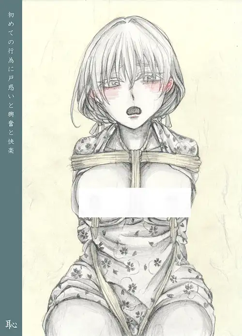 結 緊縛画集