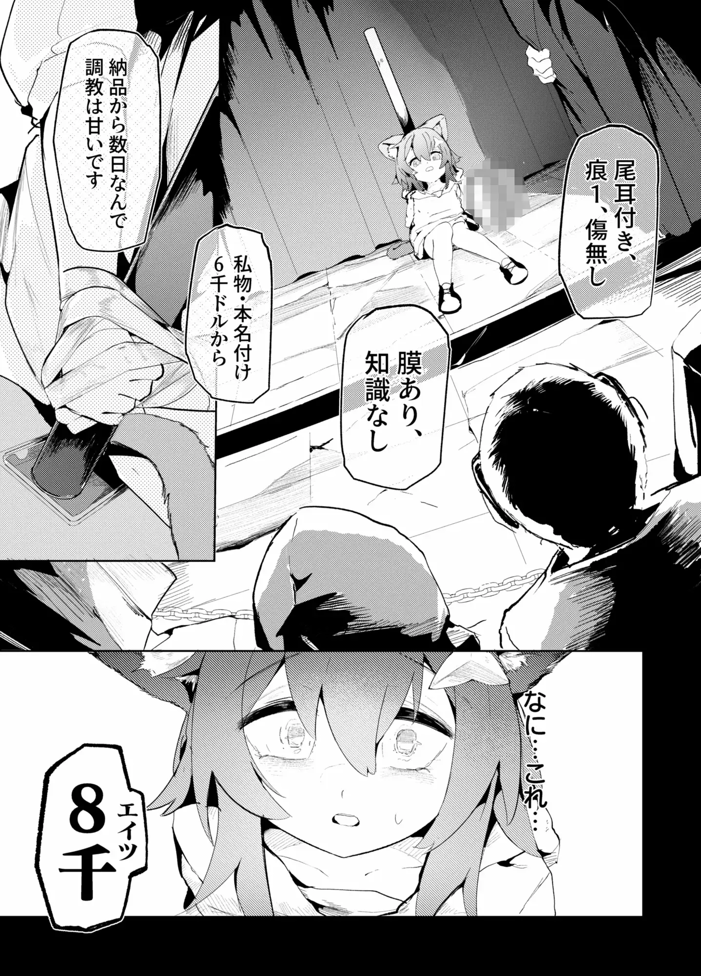 猫の足跡、貴値の子