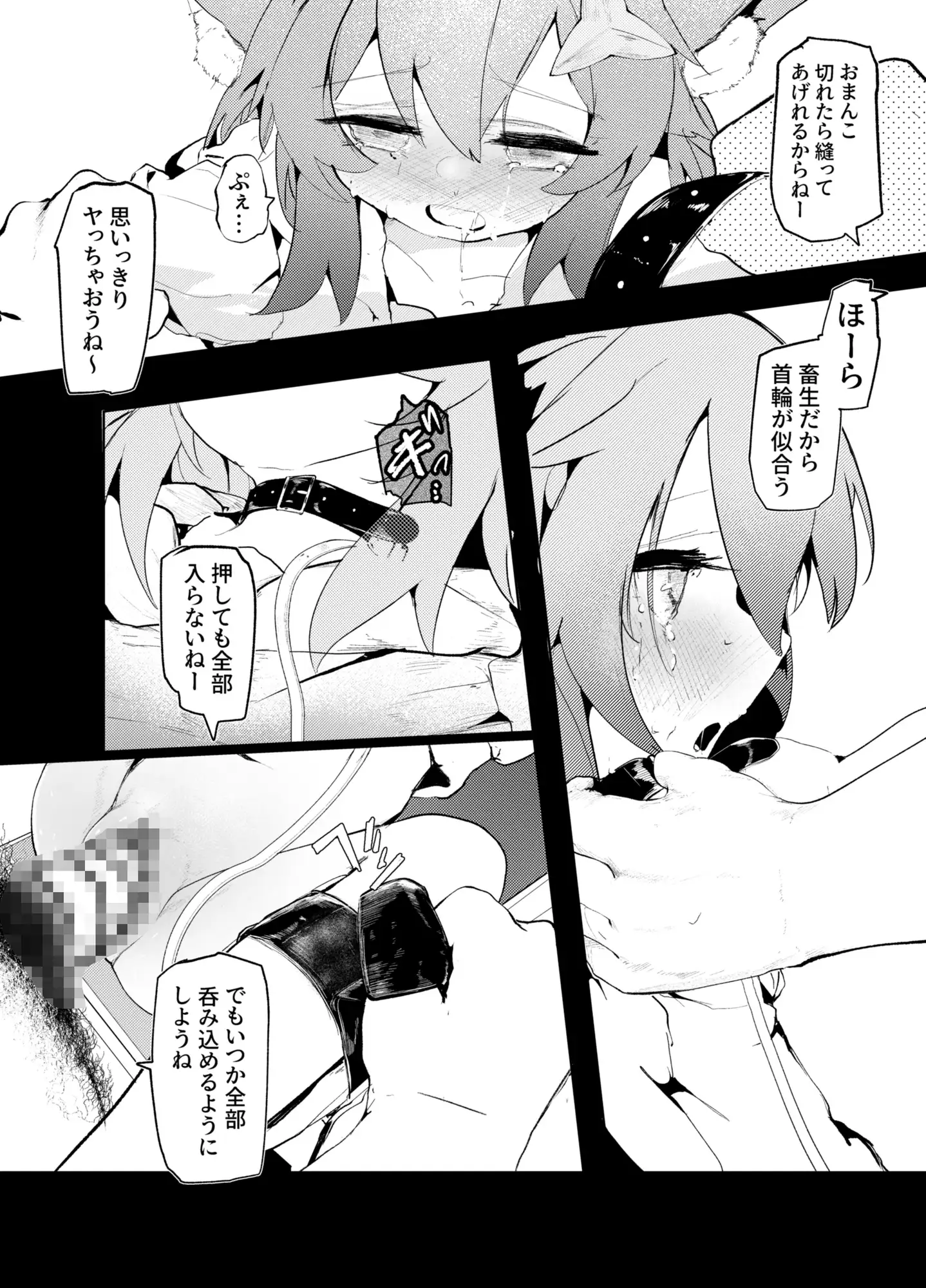 猫の足跡、貴値の子