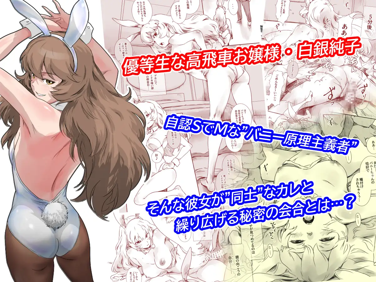 BUNNY's HOLE