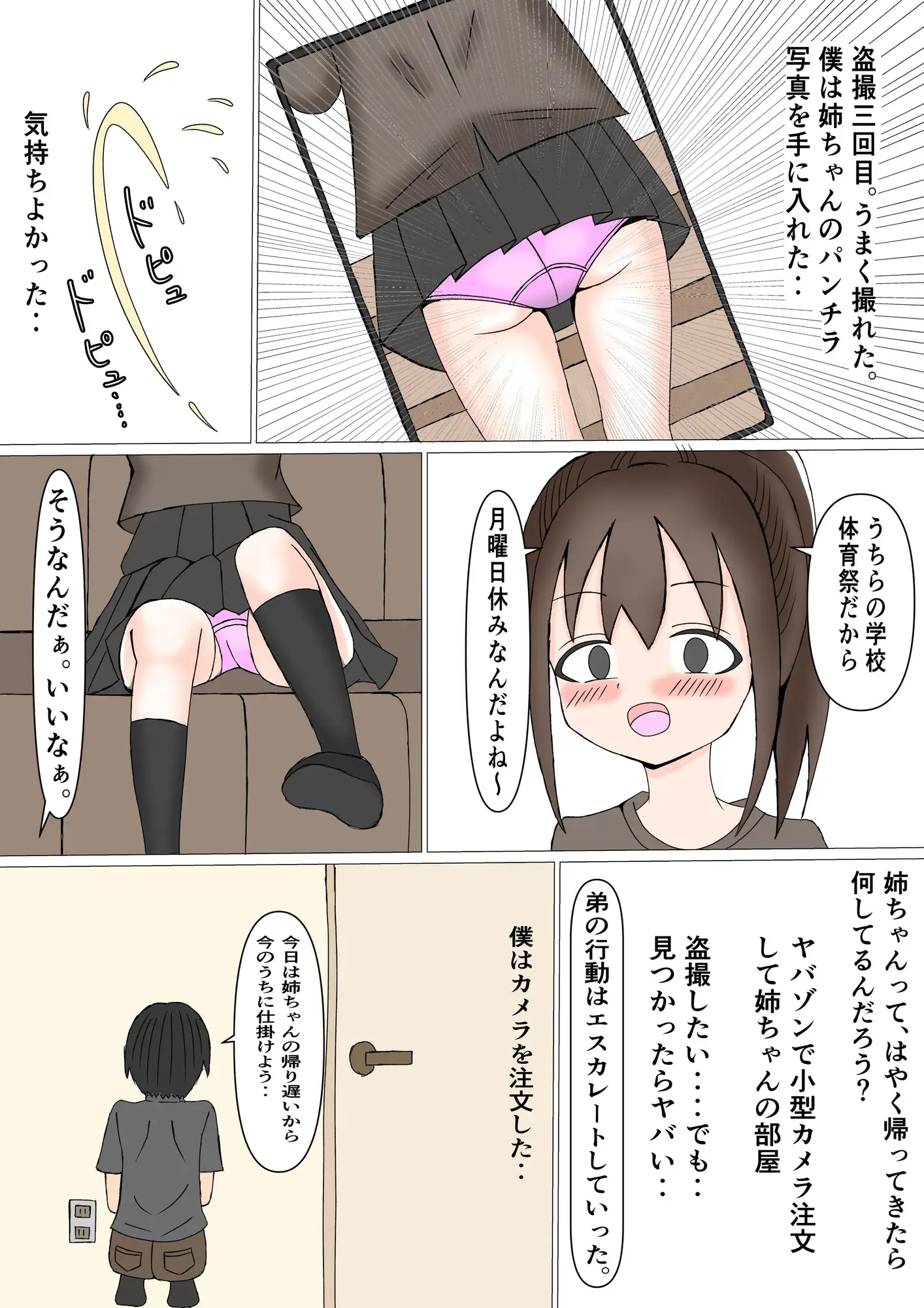 僕は姉のストーカー ～みんなに人気のお姉ちゃんを家庭内ストーカーする弟～